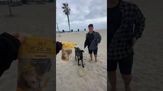 This dog earned Pet Popcorn #petpopcorn #dog #treat #freezedried #familyowned