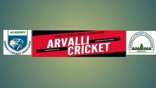 Live Cricket Match | Sarkar 11 Modasa vs King Chichano 11 | 05-Apr-24 10:16 PM 10 | YCL Ramana 2024