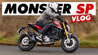 Riding The New 2023 Ducati Monster SP!