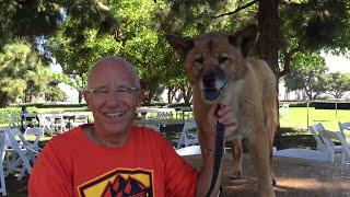 Financial Blogger:  Steve Schullo & his Jindo dog Sammi