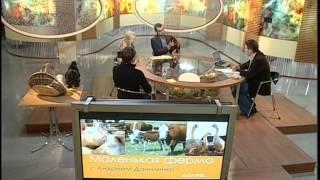 Наталья Яковлева - Маленькая ферма - 1 часть