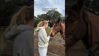 POV: horse owners when there's a storm coming #horse #horsegirl #equestrian #horseowner #horses