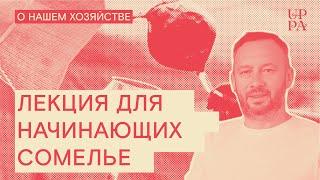 Лекция для начинающих сомелье