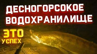 Десногорское водохранилище, нашел мотор!