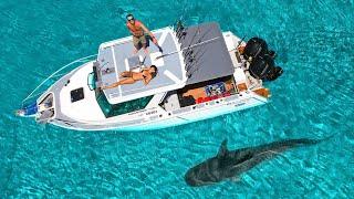 DAY 77 AT SEA: Huge Tiger Shark at Remote Island