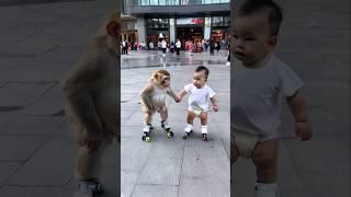 The little monkey is having so much fun playing with baby  #baby #monkey #shorts