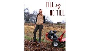 Till vs No Till Challenge