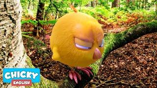 Where's Chicky? Funny Chicky 2020 |  CHICKY IN THE FOREST | Chicky Cartoon in English for Kids