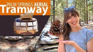 World's Largest ROTATING Aerial Tramway in Palm Springs, CA **2024**