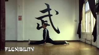 Wushu Kicks Training | Tui Fa (腿法)