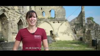 Het kasteel van Valkenburg