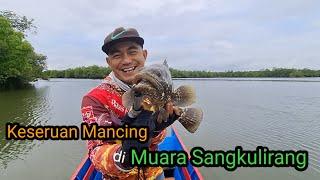 Ikan Kerapu Muara Melimpah ‼️ Rahasia Memancing di Spot Terbaik #fishing #kerapubabon #sangattaku