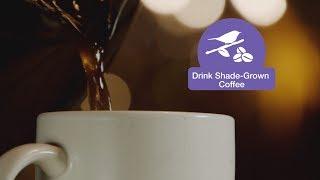 #BringBirdsBack - Drink Shade-Grown Coffee