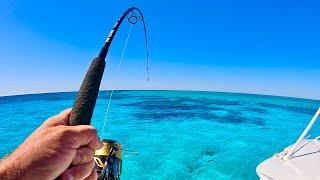 Fishing Crystal Clear Water In Paradise!