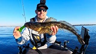 Kayak Fishing for Flathead and Whiting in local Waters !!