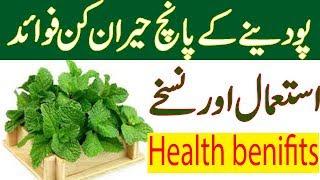 Pudina Ke Faide ¦ Mint Benefits in urdu/hindi/pudina ke fayde in urdu/hindi/podiana ke fawaid/fayde