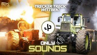 Über 1000PS! Trecker Treck Meisterschaft! Tractorpulling Sound!  || JP Agrar