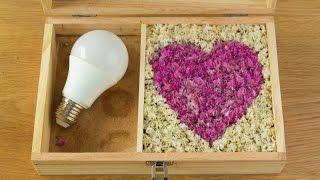 First Date Ideas (Advice for men and women)