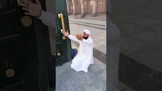 makkah madina people prayer shorts #makkah #madina #kuran #quran #kaba #shorts #youtubeshorts