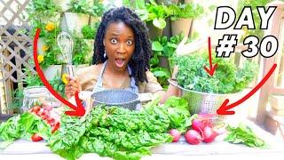 FAST FOOD from a Small GARDEN | 7 Meals from food grown in 30 Days