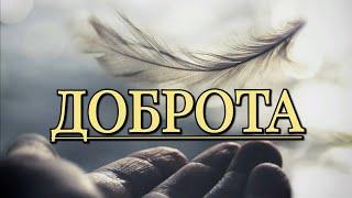 Доброта. Автор Эдуард Асадов. Читает Лёня Бархатов (16 лет).