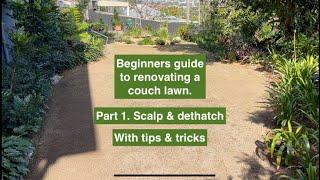 Beginners guide to renovating a COUCH LAWN. Part 1. Scalp & power rake. With tips and tricks.