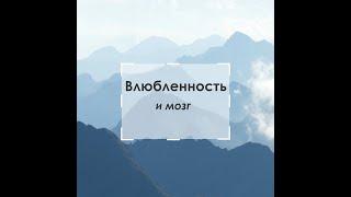 Влюбленность и мозг