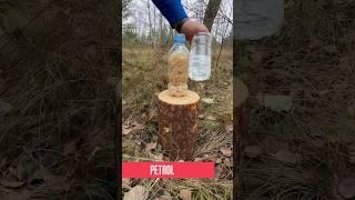 The forest MAN will light any WOOD with this! #bushcraft #survival  #outdoors #camping #lifehacks