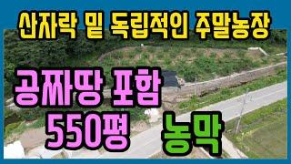 독립적인 주말농장 공짜땅 포함[매물번호 508]청도군 풍각면 월봉리#청도체류형쉼터