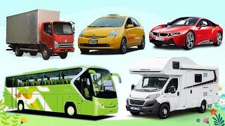 Bus, Truck, Taxi, Car, Caravan | Learn Street Vehicles Names And Sounds | Candy TV