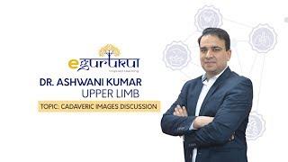 Upper Limb Cadaveric |  Anatomy by Dr Ashwani Kumar | Dr. Bhatia videos | DBMCI |