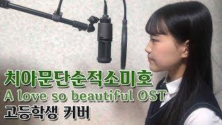 치아문단순적소미호 ost 고등학생 커버 A love so beautiful ost 我多喜欢你，你会知道 cover by rimse