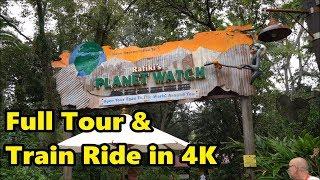 Rafiki's Planet Watch at Disney's Animal Kingdom | Full Tour & Train Rides in 4K