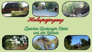 Daily Vlog / Spaziergang im Herbst / Einfach ein wenig Umgebung