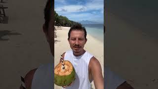 Paliton Beach ️ Siquijor Island Philippines  Filipinler Tropikal Ada Palmiye Coconut #coconut