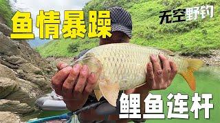 【無空野釣】鯉魚連桿了，這魚情簡直暴躁 #钓鱼 #探险 #户外 #钓鱼生活 #钓鱼高手 #钓鱼分享 #钓鱼佬 #大鱼