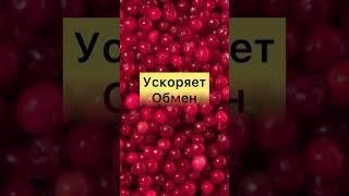 ЕШЬ и ХУДЕЙ! Какие Продукты СНИЖАЮТ ВЕС?