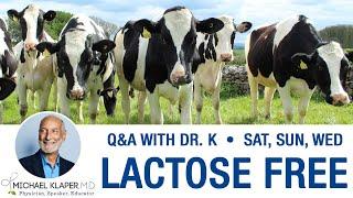 Dairy-Free vs Lactose-Free - What's The Difference?