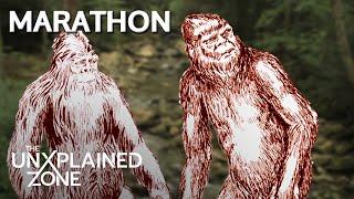 3 TIMES BIGFOOT WAS CAUGHT ON CAMERA *Marathon* | MonsterQuest | The UnXplained Zone