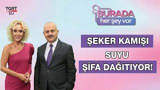 Şeker Kamışı Suyunun Faydaları Nelerdir? - Burada Her Şey Var