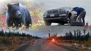 Canadian Arctic Self-Driving Tour｜Encountered grizzly bears, vehicle flat tires, road closures