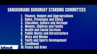 Pwede ba umayaw Kagawad sa isang komite? Pwede ba sya magbitiw? Pwede ba sya matanggal as chairman?