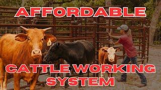 Affordable Cattle Handling System for Beginners