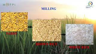 Demonstration Video on Paddy Milling Processing (under PMFME Scheme) - English