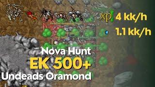 Tibia - EK 500+ hunt Undead Dragon e Fury - 4KK/h raw Exp e 1,1KK/h gold