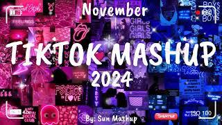 Tiktok Mashup November 2024 (Not Clean)