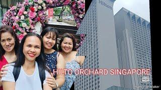 Hilton Orchard Singapore| Largest Hilton Hotel in Asia Pacific 