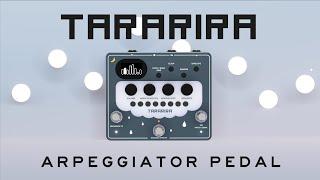 Arpeggiator pedal "TARARIRA" Pitch Shift Sequencer - Bananana Effects