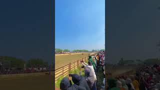 Kerapansapi budaya Indonesia Madura Gagak Rimang vs ser Naser bandit elit #shorts