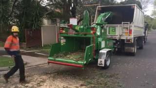 Bandit Model 915XP - 15" capacity drum chipper - Australian hardwood.